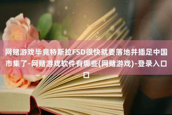 网赌游戏毕竟特斯拉FSD很快就要落地并插足中国市集了-网赌游戏软件有哪些(网赌游戏)-登录入口