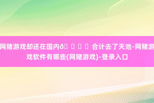 网赌游戏却还在国内🏖️合计去了天池-网赌游戏软件有哪些(网赌游戏)-登录入口