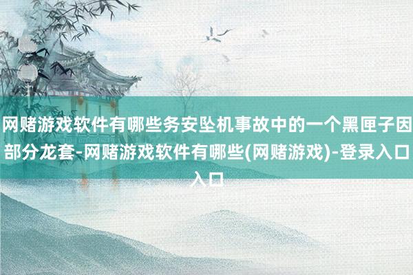 网赌游戏软件有哪些务安坠机事故中的一个黑匣子因部分龙套-网赌游戏软件有哪些(网赌游戏)-登录入口